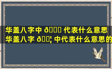 华盖八字中 🐒 代表什么意思（华盖八字 🐦 中代表什么意思的字有哪些）